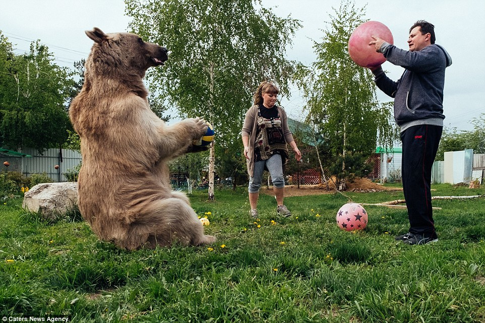 Un cuplu din Rusia locuieşte c-un urs! FOTO incredibile cu STEPAN, ursul care stă cu ei până şi la masă