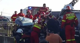 Galerie foto - poza 3