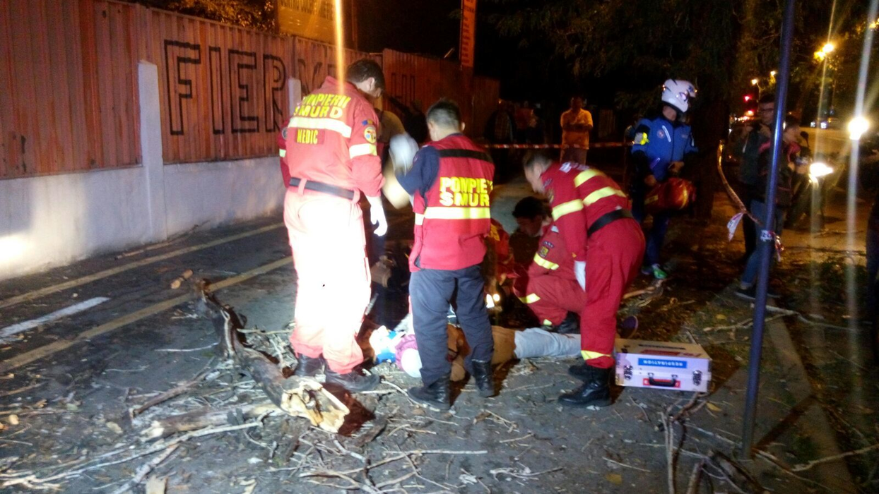 Un copac a căzut peste un om în Şoseaua Viilor