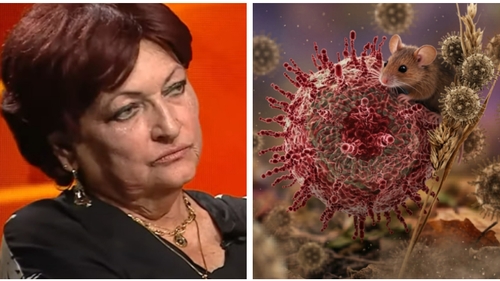 Cât de periculos e Hantavirusul, de fapt. Monica Pop rupe tăcerea: ”Să nu vă bazați pe niciun fel de comunicări decât de la medici specialiști”