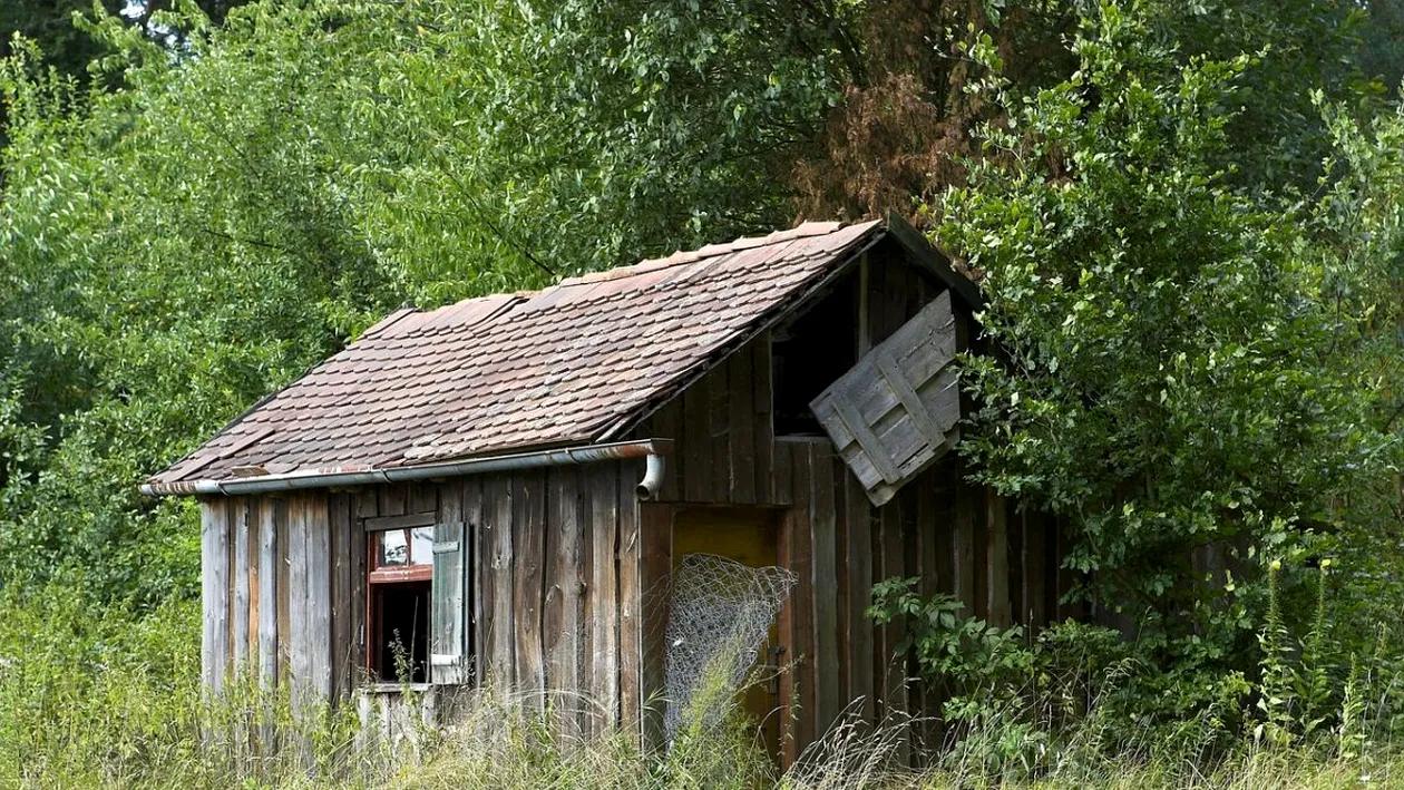 Mirella a dispărut în anul 1997 și părinții susțineau că a plecat. Vecinii au văzut-o ultima oară ca adolescentă. Adevărul macabru s-a aflat abia în 2025