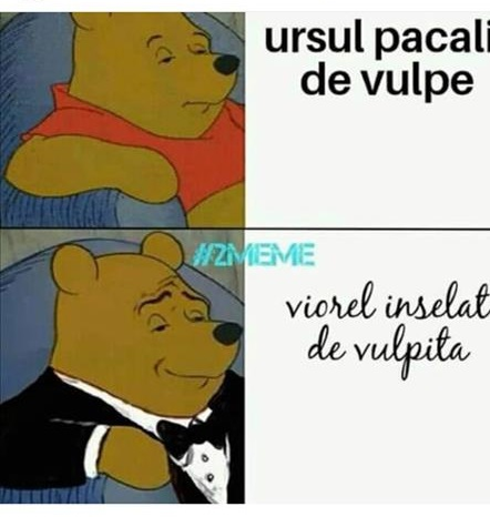TOP cele mai bune glume cu Vulpița și Viorel! Soții Stegaru – cele mai celebre personaje de pe Internet