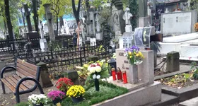 Galerie foto - poza 2