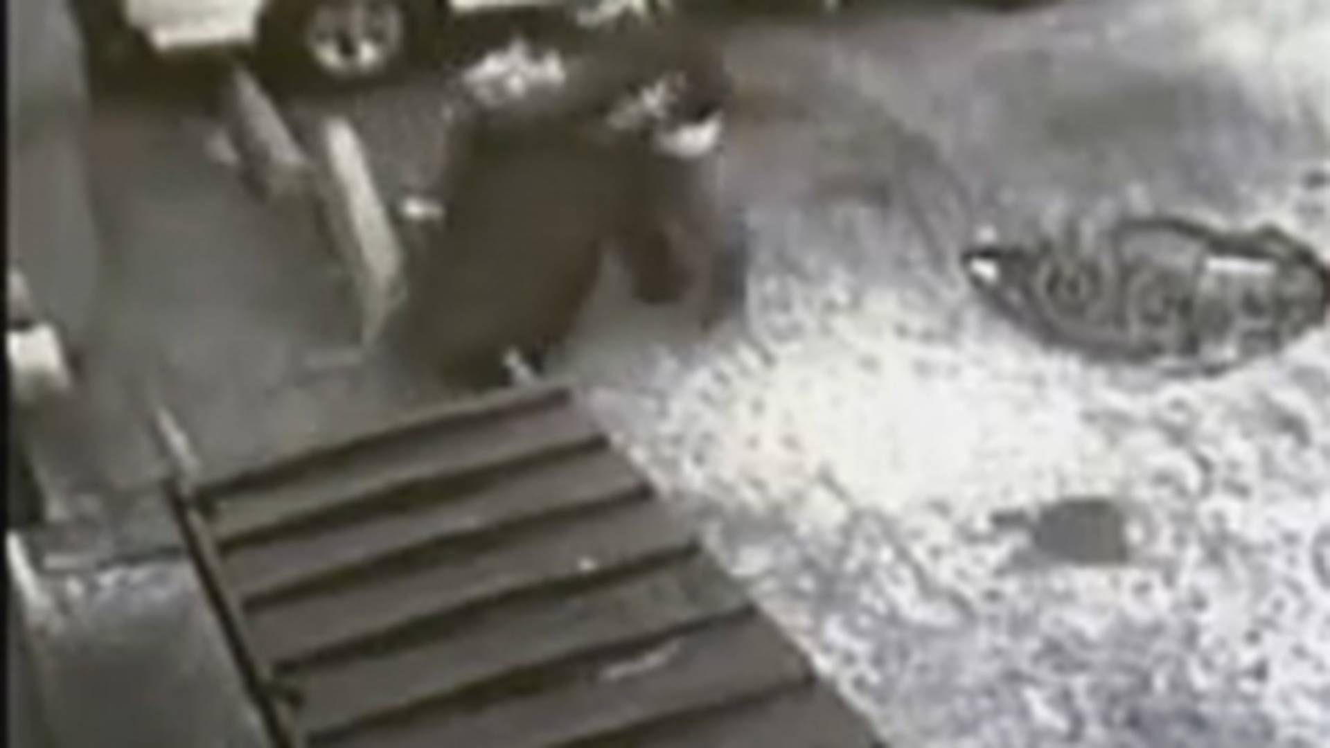 VIDEO Nici hotii nu mai sunt ce-au fost! Doi americani au furat doua tomberoane cu par uman