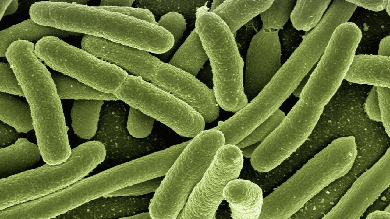E pericol mare pe plajele din România! Tocmai s-a descoperit că o bacterie a contaminat apa. Cum îi afectează pe cei care intră în contact cu ea