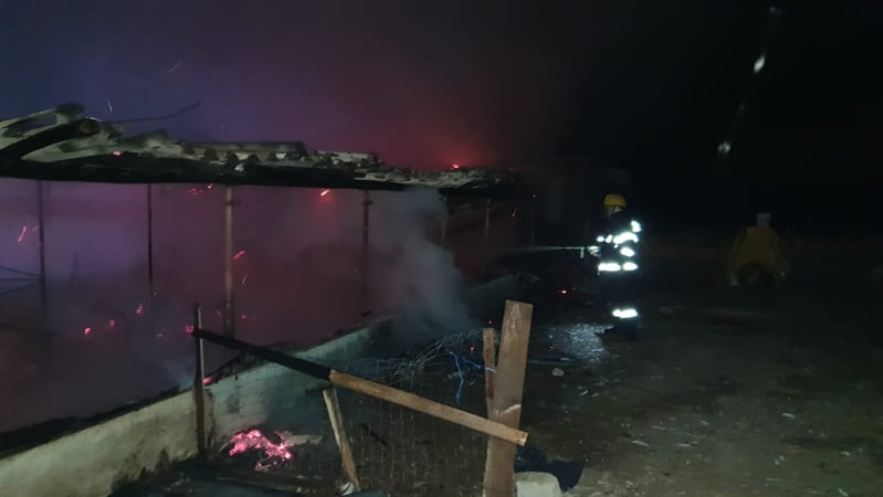 Incendiu puternic la un adăpost de animale din Dâmbovița! Îngrijitoarea intoxicată, zeci de animale moarte