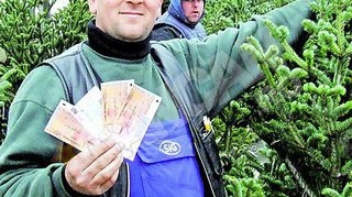 Ultima gaselnita a comerciantilor din Iasi. Vand brazi pe bonuri de masa