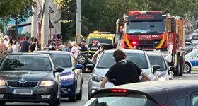 Galerie foto - poza 3