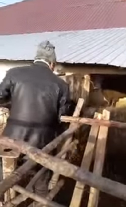 VIDEO / „Aurel, prinde oaia”! Viralul inceputului de an! Ce pateste un barbat intr-un tarc de animale