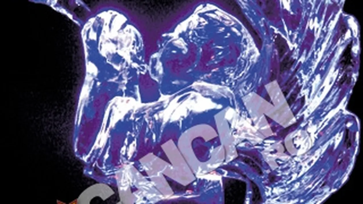 Iulian Tanase a pus bazele unei afaceri pentru petrecerile celebritatilor! Cadouri inghetate pentru VIP-uri