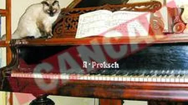 Stille Nacht: Povestea celui mai cunoscut colind al lumii