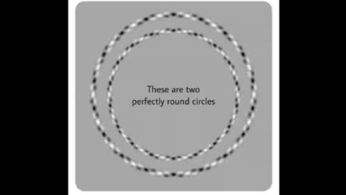 Iluzia optică ce îţi testează IQ-ul. Câte cercuri vezi în această imagine?