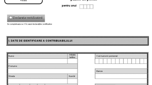 Ministrul Finanţelor a făcut anunţul mult aşteptat: "Să nu se mai depună Declaraţia 600!"