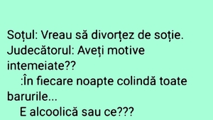 BANCUL ZILEI | Motive "întemeiate" de divorț