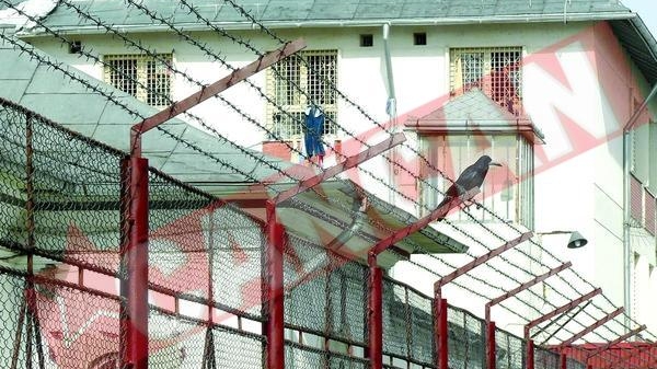 Inchisoare luata cu asalt de clanul Sportivilor!