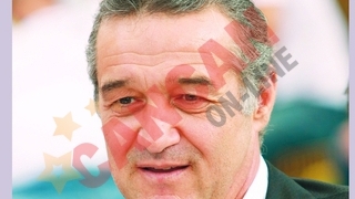 Gigi, schimbi si emblema Stelei?