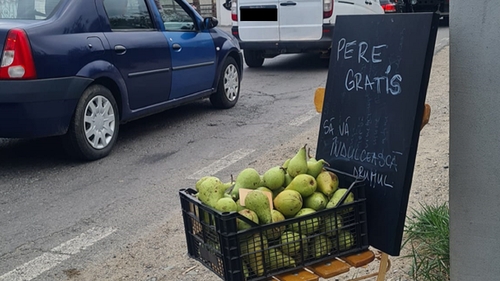 O femeie din Brașov oferă pere gratis șoferilor blocați în trafic. Ce a găsit românca în lădiță după gestul făcut: ”M-a impresionat!”