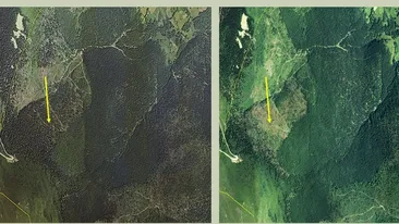 Imaginile care te fac sa plangi! Uite cum au disparut padurile din Romania!