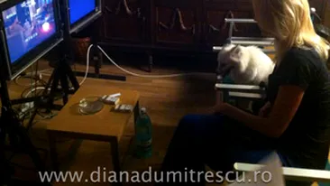 Diana Dumitrescu joaca alaturi de catelusa ei, Abi, in Pariu cu viata: Nu credeam ca se va descurca atat de bine!