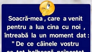 Bancul sfârșitului de săptămână | Soacra și câinele