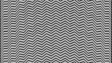 Testul optic la care 999 din 1000 greșesc | Ce vezi în această poză?