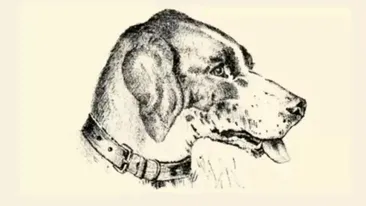 TEST: Iluzia optică de marți | Găsiți stăpânul câinelui din această imagine, în maximum 15 secunde!