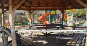 Galerie foto - poza 4