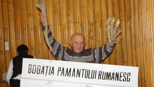 Ghita Ciobanul e istorie! “Taranul sarac” din Vrancea si-a tras site si-i face concurenta serioasa! Uite cum isi lauda oile