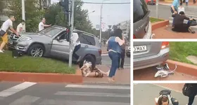 Galerie foto - poza 3