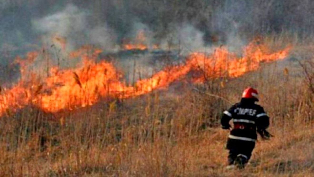 Tragedie la Iași. Doi bărbați au murit în chinuri după ce au ars de vii într-o livadă