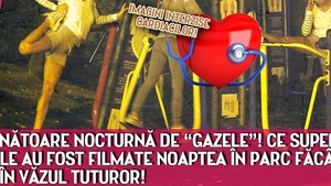 La vanatoare de "gazele"! Ce supermodele de la noi au fost filmate noaptea in parc, facand asta in vazul tuturor!