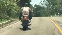 Acest motociclist a fost atacat de către un şarpe care parcă „zboară“ spre el, iar imaginile au devenit virale instant! 