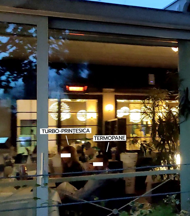 Termopane și Turbo-prințesica, cină romantică, la un restaurant din Herăstrău