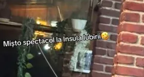 Galerie foto - poza 1