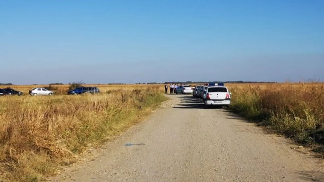 A fost găsită fetița dispărută din București! Panică și groază: anchetatorii au crezut că olandezul criminal are…