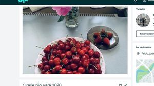Nu e banc! Cu câți lei vinde o femeie din Vaslui pe Olx un kilogram de cireșe