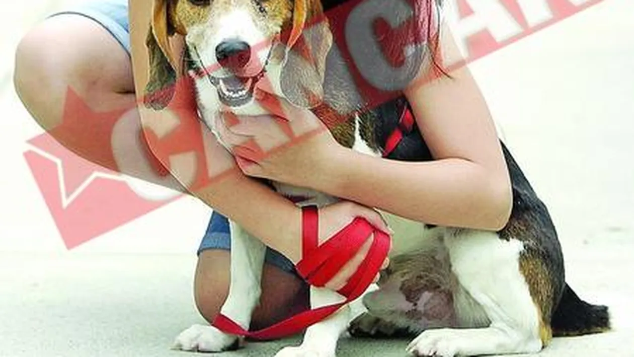 S-a intors acasa dupa cinci ani