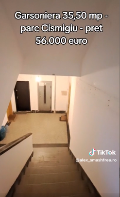 Garsoniera atipică din Cișmigiu /Foto: TikTok