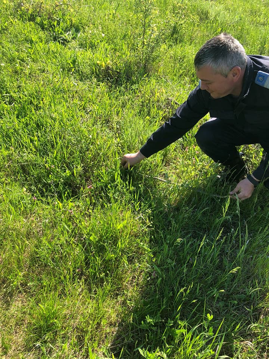 Jandarmii au eliberat șarpele în natură