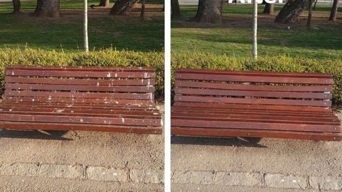 Spirit civic la Cluj. Ce a făcut un bărbat în Parcul Central. „Am luat atitudine”