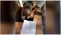 Poveste sfâșietoare! Un băiat de 12 ani şi-a abandonat câinele la un adăpost de animale. Ce a scris în biletul pe care l-a lăsat lângă patruped