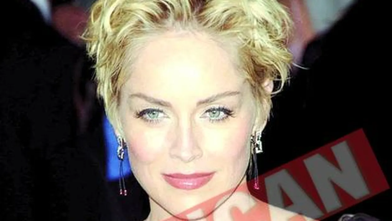 Chinezii vor un miliard de dolari de la Sharon Stone