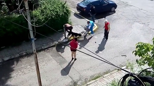 Scene şocante în Târgovişte: Bichon "măcelărit" de pitbull în Parcul Aşchiuţă, sub ochii copiilor