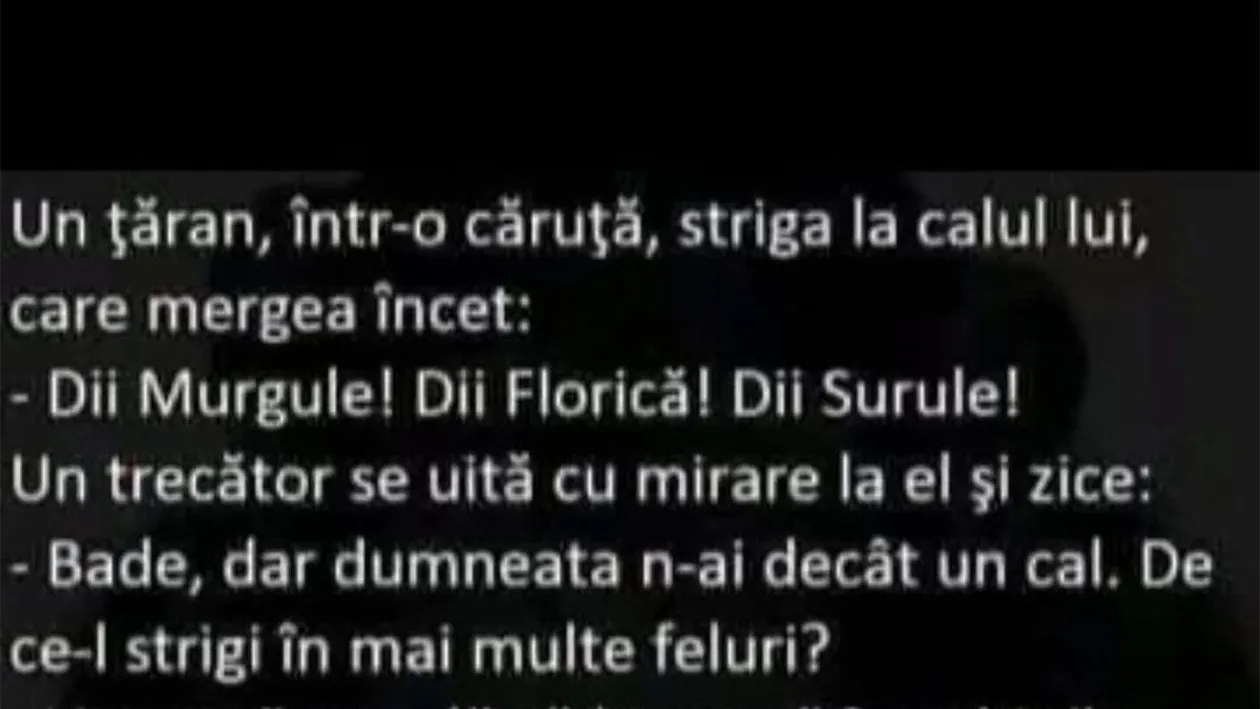 BANCUL ZILEI | Diii, Murgule! Dii, Florică! Dii, Surule!