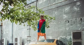 Galerie foto - poza 1