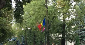 Galerie foto - poza 4