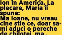 Bancul de duminică. Prin anii 90, pleacă Ion în America