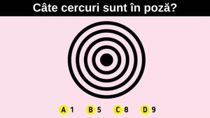 Test IQ | Numai geniile adevărate văd câte cercuri sunt în această poză, în doar 5 secunde!