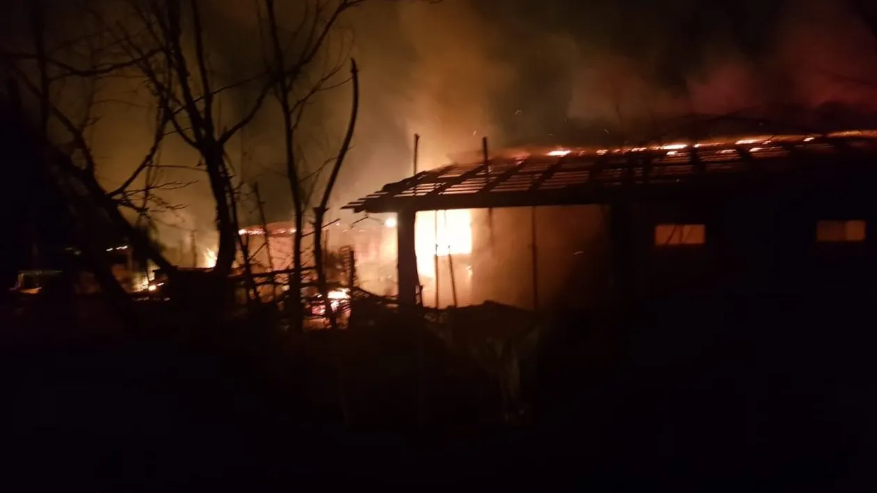 Incendiu devastator la o fermă din Giurgiu. Mama proprietarului a făcut stop cardio-respirator și a murit. Multe animale au ars de vii