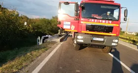 Galerie foto - poza 3